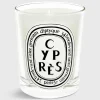 Classic Scented Candle^Diptyque Shop