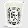 Classic Scented Candle^Diptyque Best Sale