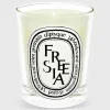 Classic Scented Candle^Diptyque Best Sale