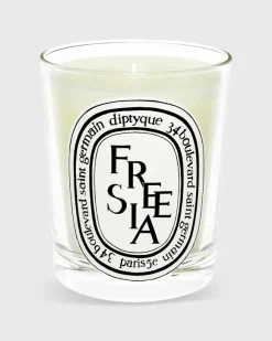 Classic Scented Candle^Diptyque Best Sale