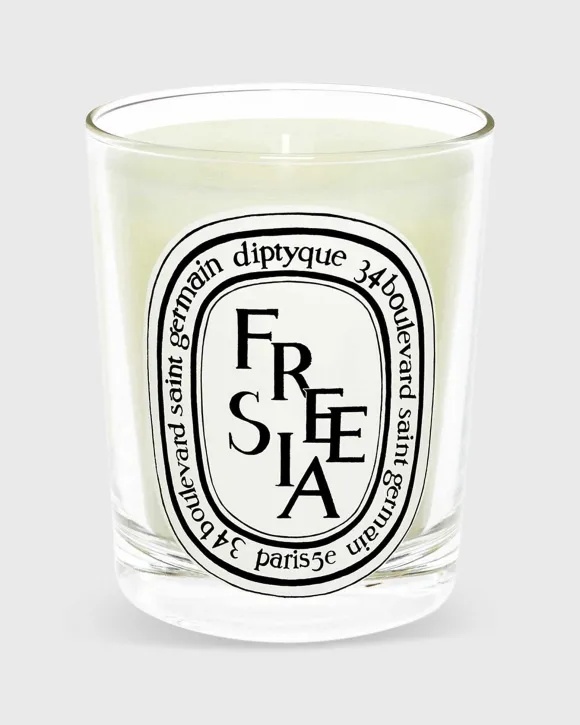 Classic Scented Candle^Diptyque Best Sale