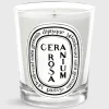Classic Scented Candle^Diptyque Fashion
