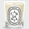 Classic Scented Candle^Diptyque Shop