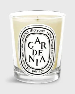 Classic Scented Candle^Diptyque Shop