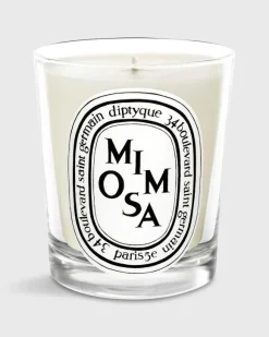 Classic Scented Candle^Diptyque Clearance