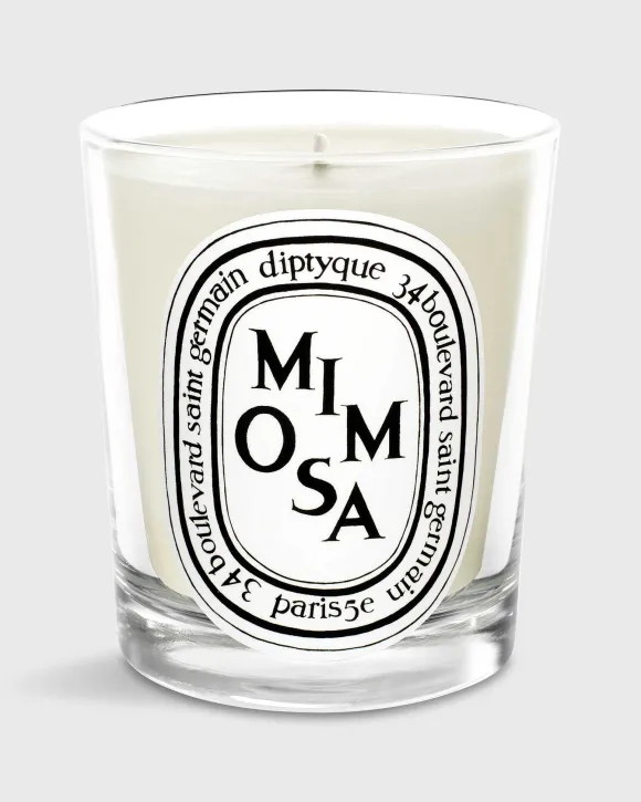 Classic Scented Candle^Diptyque Clearance