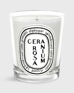Classic Scented Candle^Diptyque Hot