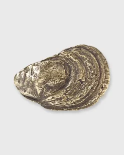 Oyster Shell Belt Buckle^Mashburn Cheap