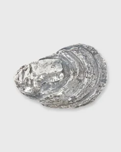 Oyster Shell Belt Buckle^Mashburn Outlet