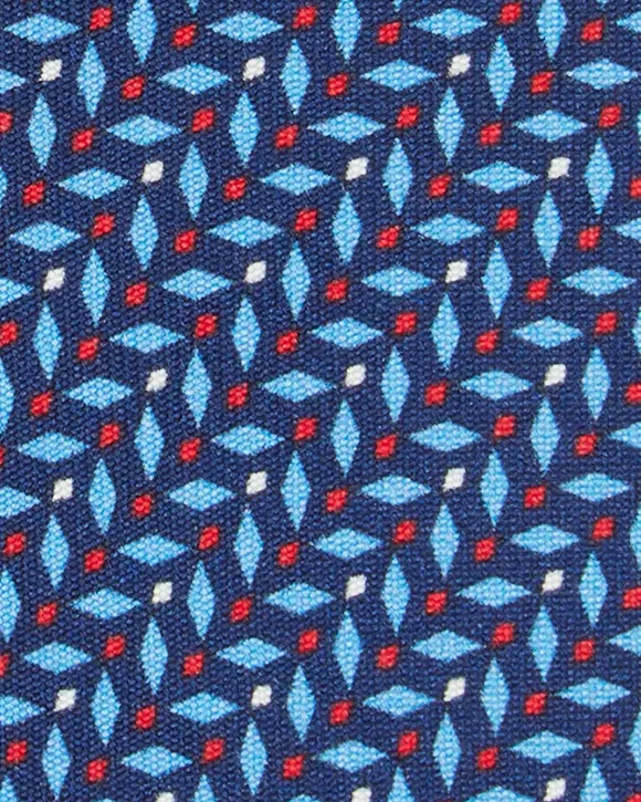 Silk Print Tie^Sid Mashburn Shop