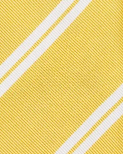 Silk Woven Tie^Petronius Online