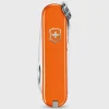Swiss Army Knife^Victorinox Discount