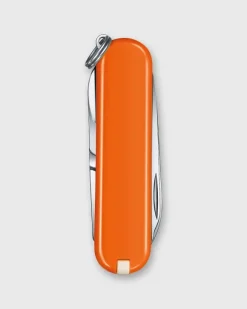 Swiss Army Knife^Victorinox Discount