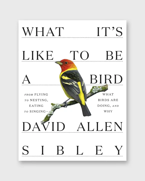 What It's Like To Be A Bird^Penguin Random House Store